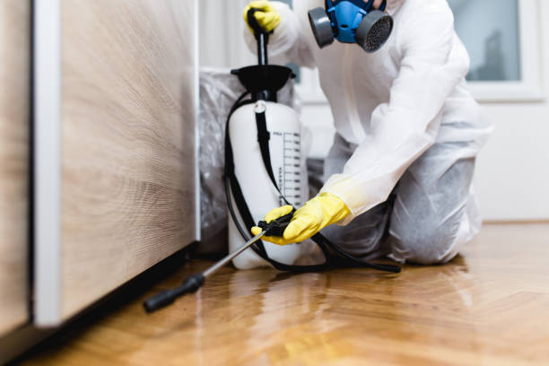 Best Flea Control Services  in Eagleton Village, TN