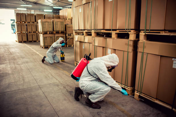 Best Best Pest Control Companies  in Eagleton Village, TN