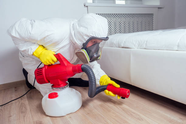 Best Bed Bug Extermination  in Eagleton Village, TN