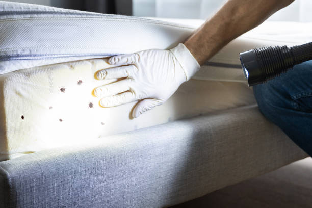 Professional Pest Control in Eagleton Village, TN