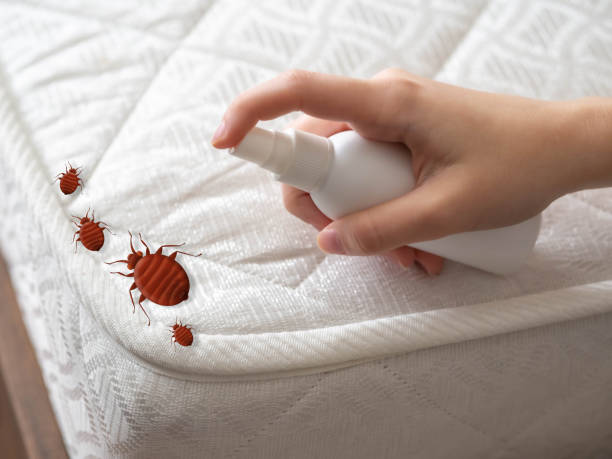  Eagleton Village, TN Pest Control Pros