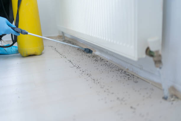 Best Best Pest Control Companies  in Eagleton Village, TN