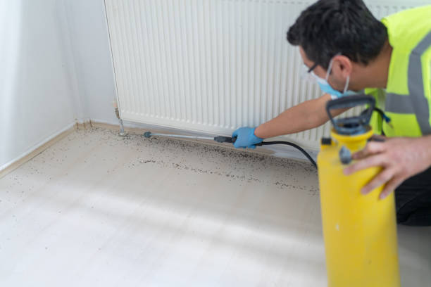 Best Ant Control Services  in Eagleton Village, TN