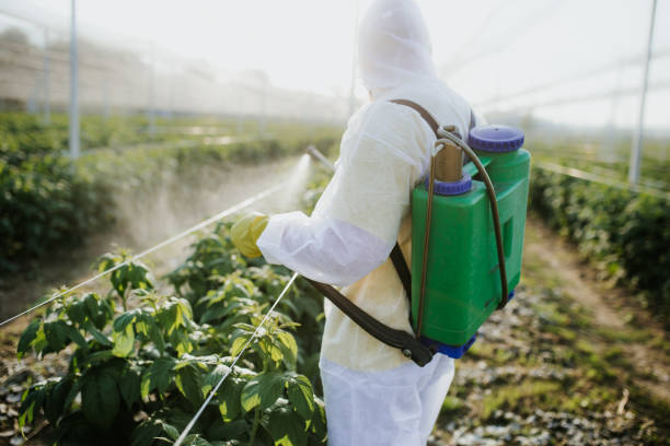 Best Pest Inspection Near Me  in Eagleton Village, TN